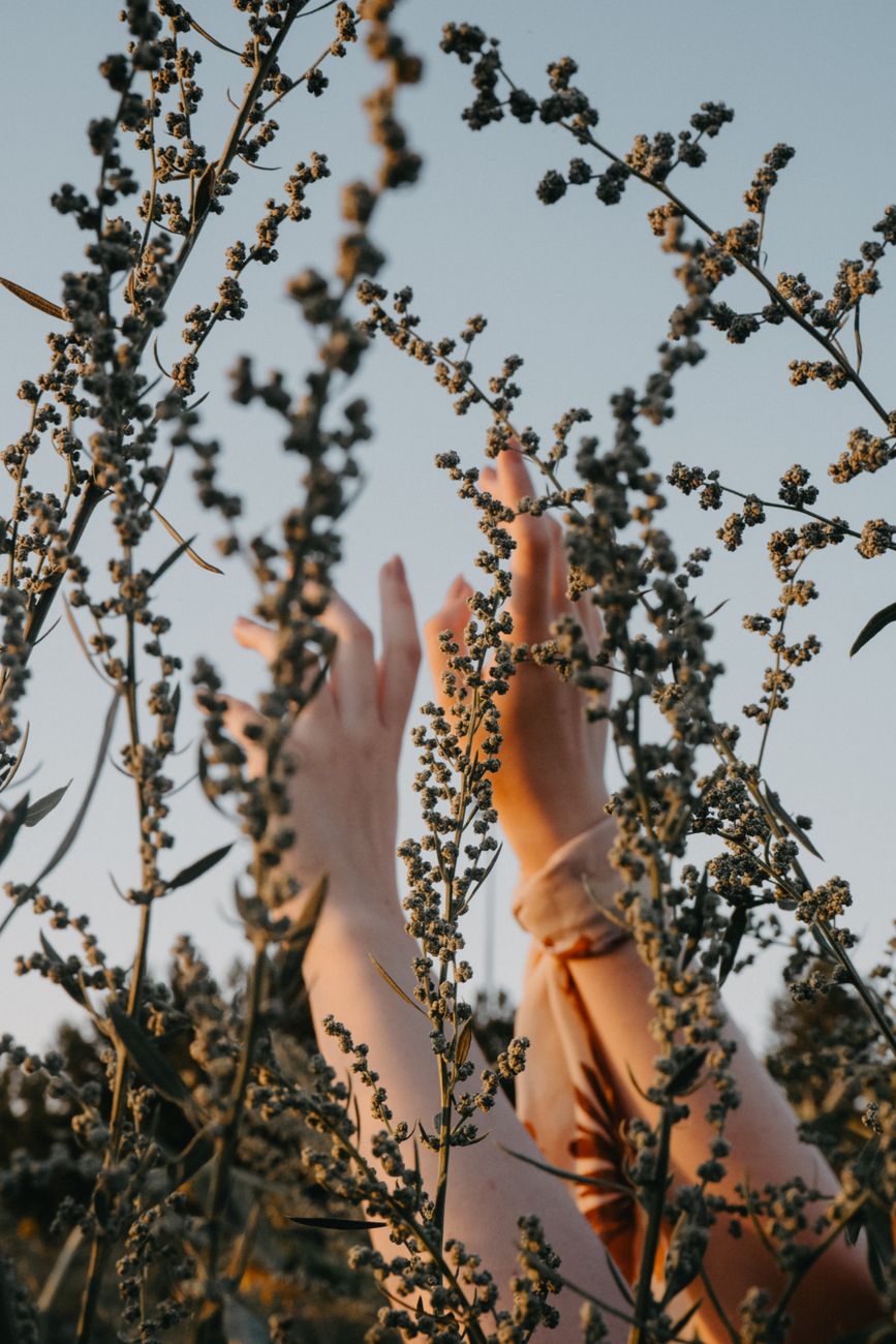 raised arms of a woman between branches of a shrub